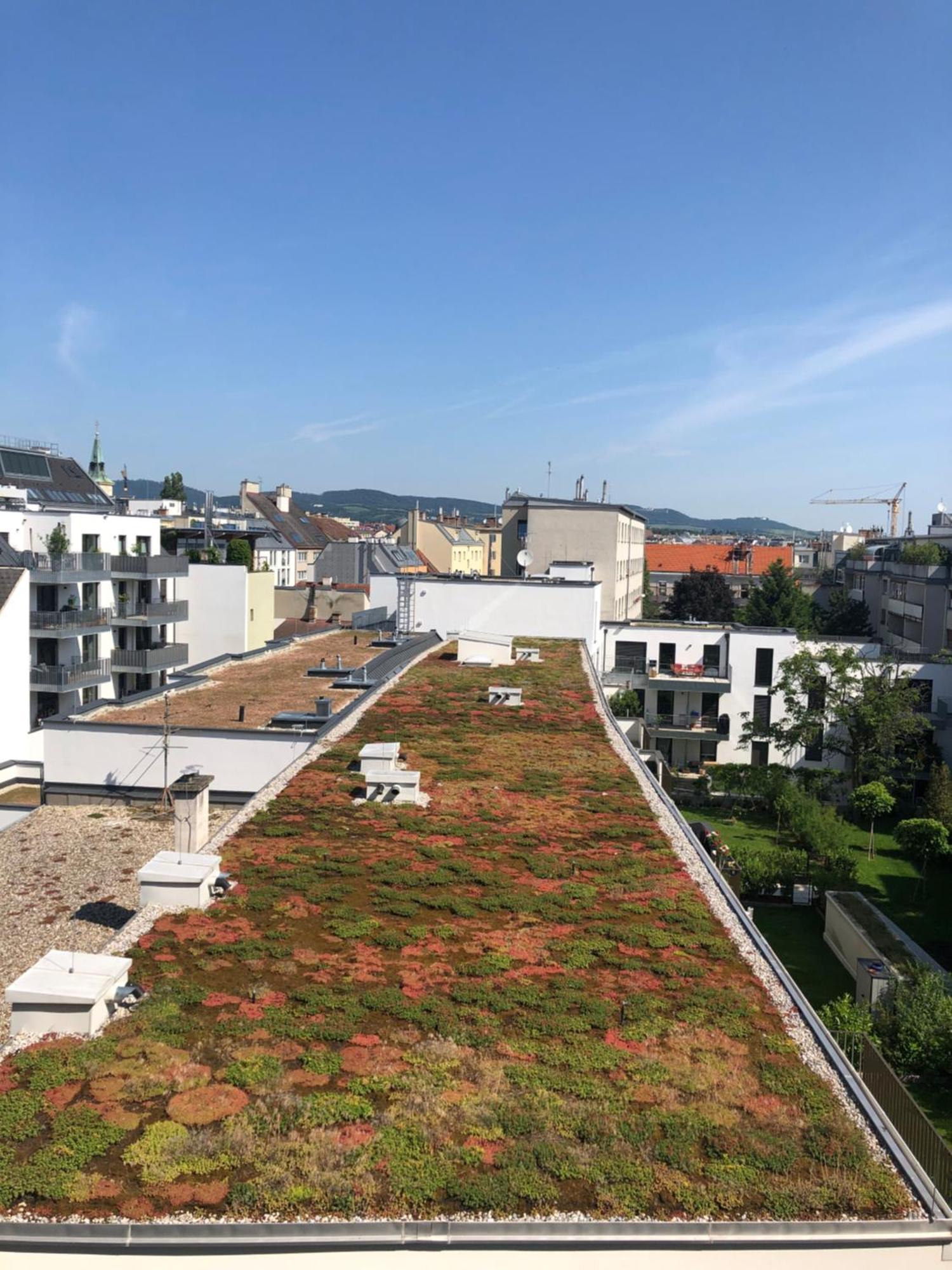 Vienna Sunny Side Up Apartments Exterior foto